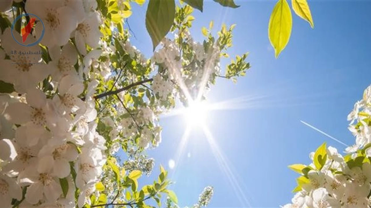 الأرصاد الجوية تتوقع تباين درجات الحرارة بين النهار والليل خلال الفترة المقبلة